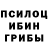 Псилоцибиновые грибы GOLDEN TEACHER Menpare Seidametova