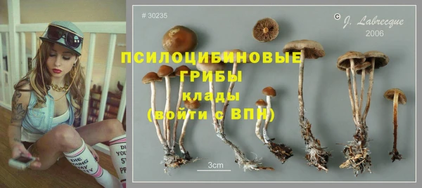 первитин Алзамай