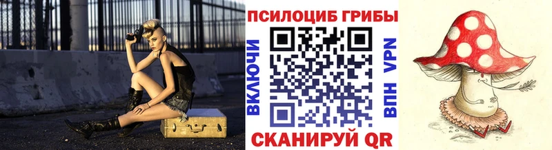 blacksprut зеркало  Мичуринск  Галлюциногенные грибы мицелий 
